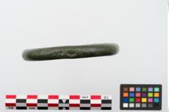 Foto von Bronzegehängering (NHMW-PRAE-024137)